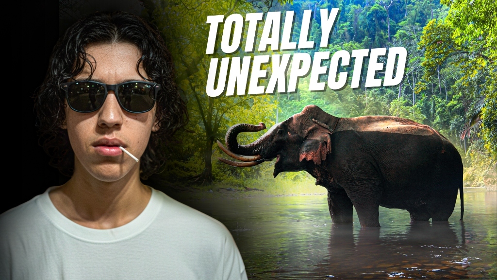 YouTube Thumbnail 4